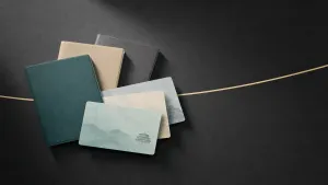 Stylizované pobytové karty a pasy na tmavém podkladu se zlatou linkou, konceptuální ilustrace
