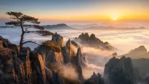 Žulové vrcholy Huangshan nad mořem mraků za východu slunce s osamělou borovicí